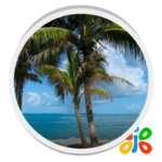 beach trees live wallpaper android application logo